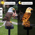 ⭐️Anomasu Solar Eagle Light🔥【HOT】Holiday Special  50% OFF 🔥GET IT NOW
